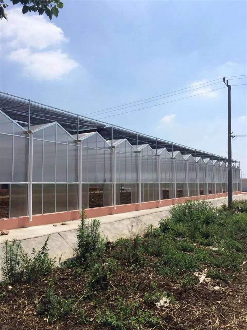 陽(yáng)光板紋絡(luò)